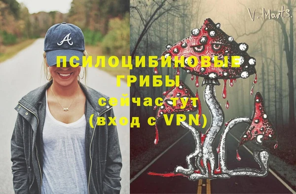 первитин Верея